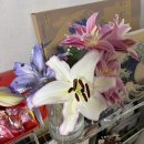 꾸러기2호점 | [Review] 로제 꽃꾸 꽃다발💐 기념일 선물 추천! - 필로시코스 - 솔직 후기 + 생화 유지 꿀팁