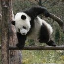 현대스파 이미지