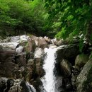 제519차 청도 문복산 계살피계곡 정기산행공지(2025.09.13) 이미지