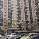 부흥로243번길 Daum카페