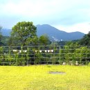 포시즌풀하우스 이미지