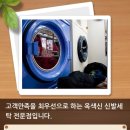 옥색신 이미지