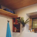 하도조아 이미지