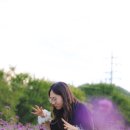 범안로9길 이미지