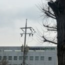 강남운전면허시험장 | 7년 무사고 1종 전환 개편 내용 (강남운전면허시험장 방문후기)