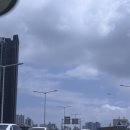 선우농장 | 9월) 부산 코베 베이비페어 / 임산부 집밥 요리