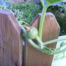 국현어린이집 이미지