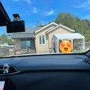 도리민박 이미지