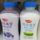 싱싱애