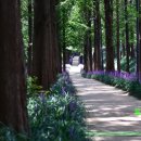 문흥 북구노인복지센터 이미지