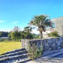 시영이네 하우스 이미지