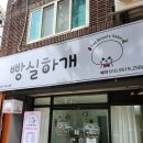 빵실하개 이미지