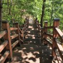 한문화 한마당 운영 | 너무나도 늦어버린 2022 영주세계풍기인삼엑스포 팸투어 후기(2)