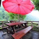 엄둔계곡 가자화이트 이미지