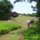 동래정씨(東萊鄭氏) 허백당(虛白堂) 정난종(鄭蘭宗)선생 묘 이미지