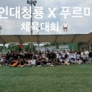 용인대 푸르미르 태권도 이미지