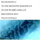 휴먼메드 네이버블로그