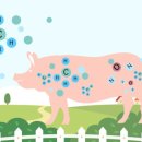 산정축산 이미지