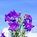 진향공인중개사사무소 이미지