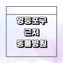 우신종합 | 영등포구 근처 동물병원 잘하는곳 추천 정보 24시 중성화 수술 강아지 고양이 치료 후기 공휴일 가격 새벽