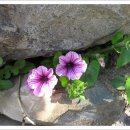 청곡사주차장 이미지