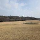 산성한우곰탕 | 국내 맛집 여행 부여 엄가네곰탕 내돈내산 후기