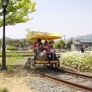 곡성-193 Daum카페