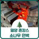 소나무민박 | 밀양 독채 감성 경남 촌캉스 숙소 소나무 민박 내돈내산 후기