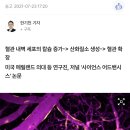 기사)테스토스테론 모세혈관칼슘 산화질소(혈관확장) 동맫근=산화질소 이미 에스트로겐 필자 긴 꼬근육 입증완료된지 오래인데 이미지