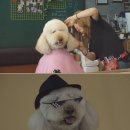 미남농장 이미지