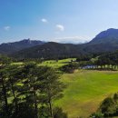 소노캄 델피노C 이미지