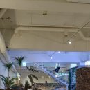 SAC ON Screen <지젤> 이미지