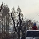 두목농장 이미지