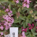 정원박람회장 이모저모30 이미지