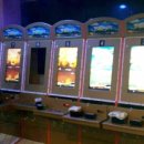 동해-단속-23 이미지