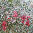 서리농장 이미지