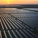 신화 태양광발전소 이미지