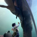 하식목장 이미지