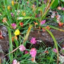 블루마린펜션민박 이미지