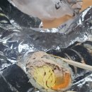 올레 김밥 이미지