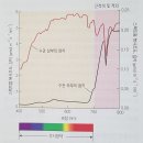 ★4.햇빛과 광합성_음지의 생존 이미지