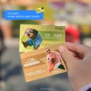 나무늘보 호텔 서면점 | 상해 디즈니랜드 가려면 바로 지금! 주토피아2 축제 후기