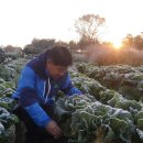 늘푸른농장 이미지