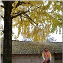 문화유산여행길(1코스) 이미지