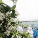 신효동-14 이미지