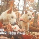 놀이터펜션 이미지