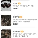 오색 자개로 만드는 고급책갈피 | 원주여행 케이블원주 원주전통공예체험원데이클래스 체험후기