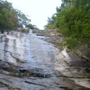 춘식이네 이미지