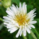 서정공원 이미지