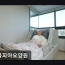 노블피아 요양원
